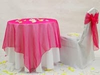 Cornwall Wedding chair cover Hire 1061569 Image 3